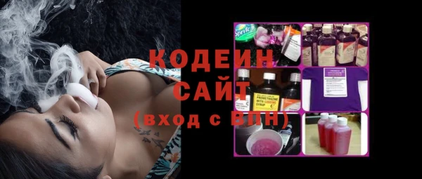 ешки Иннополис