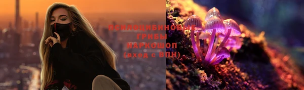 ешки Иннополис