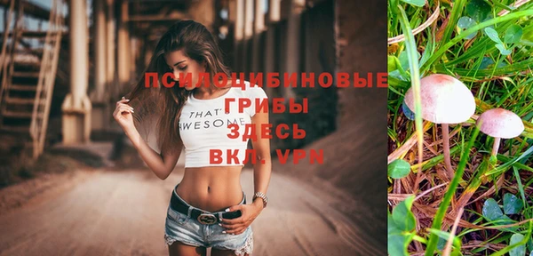 стафф Зеленокумск
