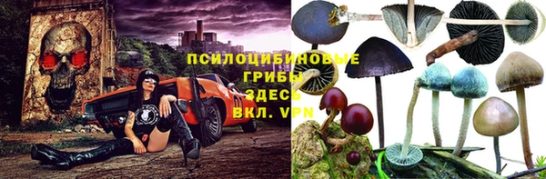 дмт Данков