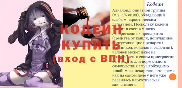 ешки Иннополис