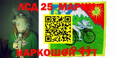 мяу мяу мука Краснознаменск