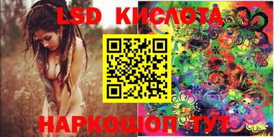 мяу мяу мука Краснознаменск