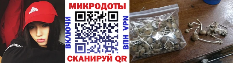 ссылка на мегу сайт Кингисепп Псилоцибиновые грибы мухоморы