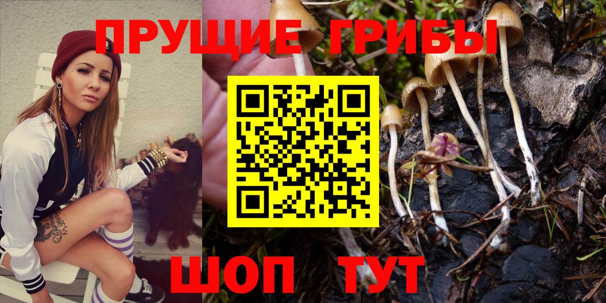 Галлюциногенные грибы MAGIC MUSHROOMS Кингисепп