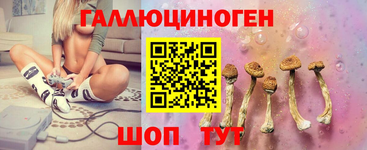 Кингисепп  Псилоцибиновые грибы MAGIC MUSHROOMS  Вход с VPN 